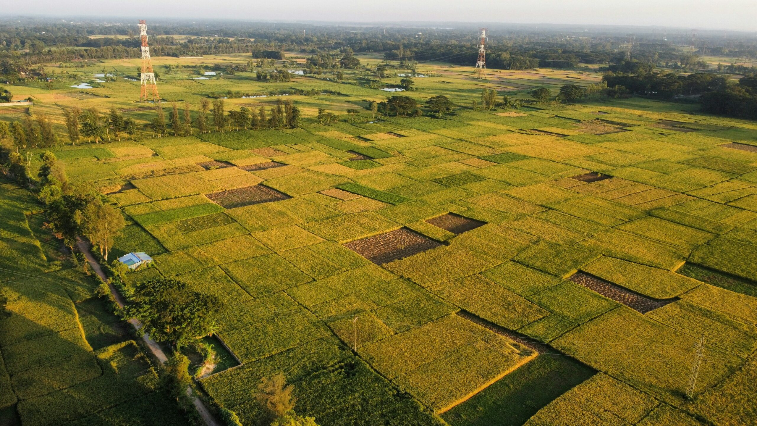 Придбання землі поза конкурсом: проблеми співвідношення площі землі й нерухомості - background image